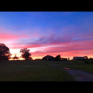 Meet your Posher, Jana